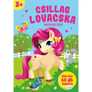 Csillagos lovacska foglalkoztató