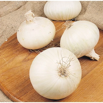 Vetőmag dughagyma, fehérhagyma 0,25 kg
