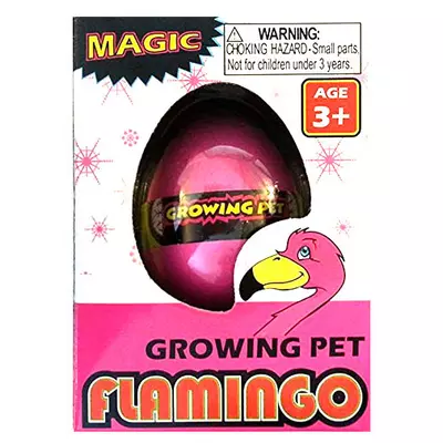 Növekvő flamingó tojásban