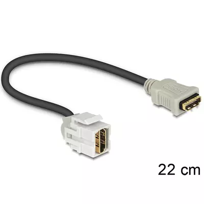Delock Keystone modul HDMI anya > HDMI anya 250  kábellel