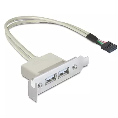 Delock Slot konzol USB 2.0 low profile 2 port