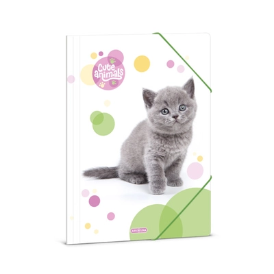 Ars Una: Cute Animals - Brit rövidszőrű macska gumis mappa A/4-es méret