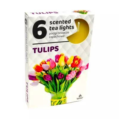 Tulipán illatú teamécses 6db