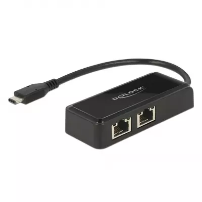 Delock Adapter SuperSpeed USB (USB 3.1 Gen 1) USB Type-C  csatlakozódugóval > 2 x Gigabit LAN 10/100