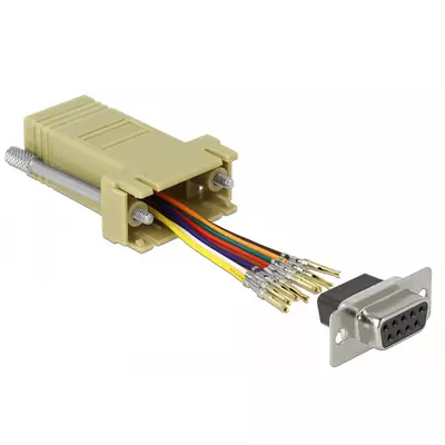 Delock Szürke Sub-D 9-tűs anya   RJ45 anya összekötő adapter