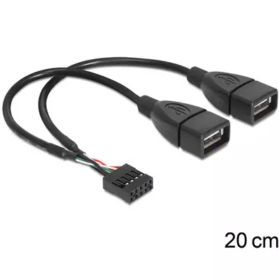 Delock USB 2.0 A típus, 2 x anya - pin fejes kábel