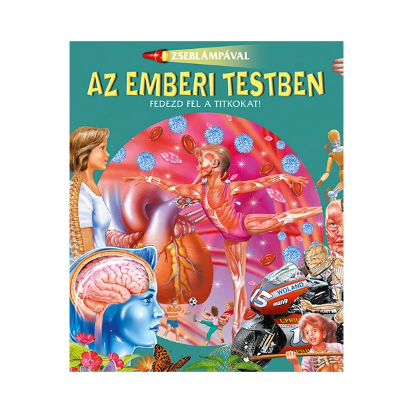 Zseblámpával - Az emberi testben ismeretterjesztő könyv