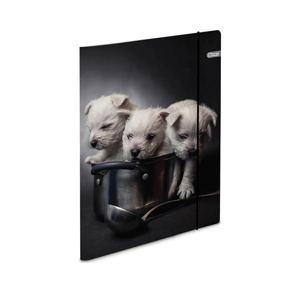 Spirit: Puppies gumis karton mappa A4-es 600g