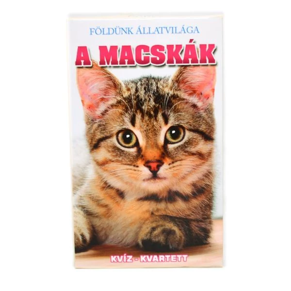 Macskák kvartett kártya