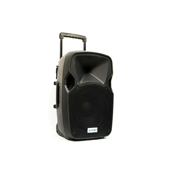 Thunder ACCU-12 (12") 600W akkumulátoros hordozható hangfal (2xMik + MP3 + Bluetooth + FM)