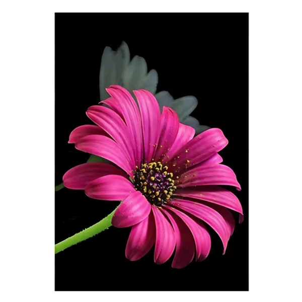 Gyémántszemes kirakó: Gerbera gyémántfestő szett 10x15cm