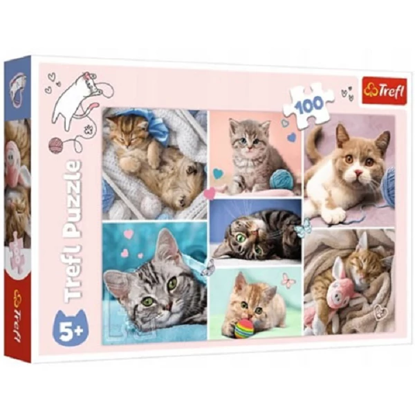 Macskák 100db-os puzzle - Trefl