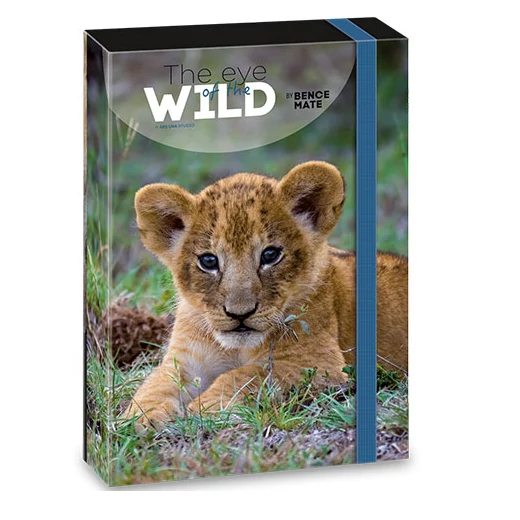 Ars Una: Máté Bence The Eyes of the Wild - Oroszlán füzetbox A/4