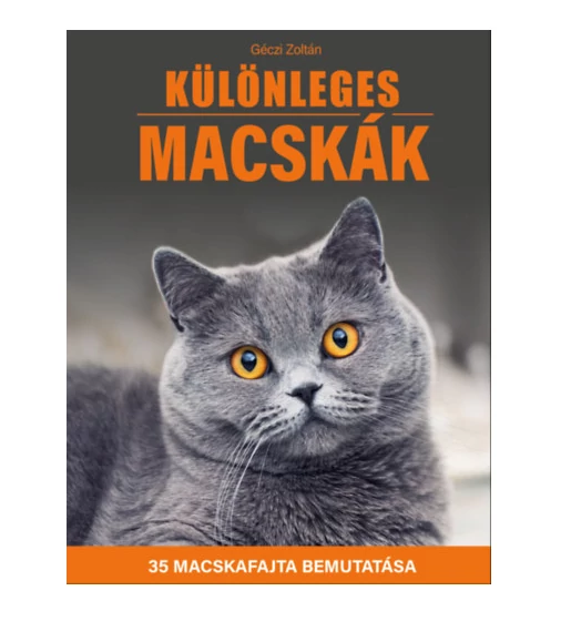 Különleges macskák könyv