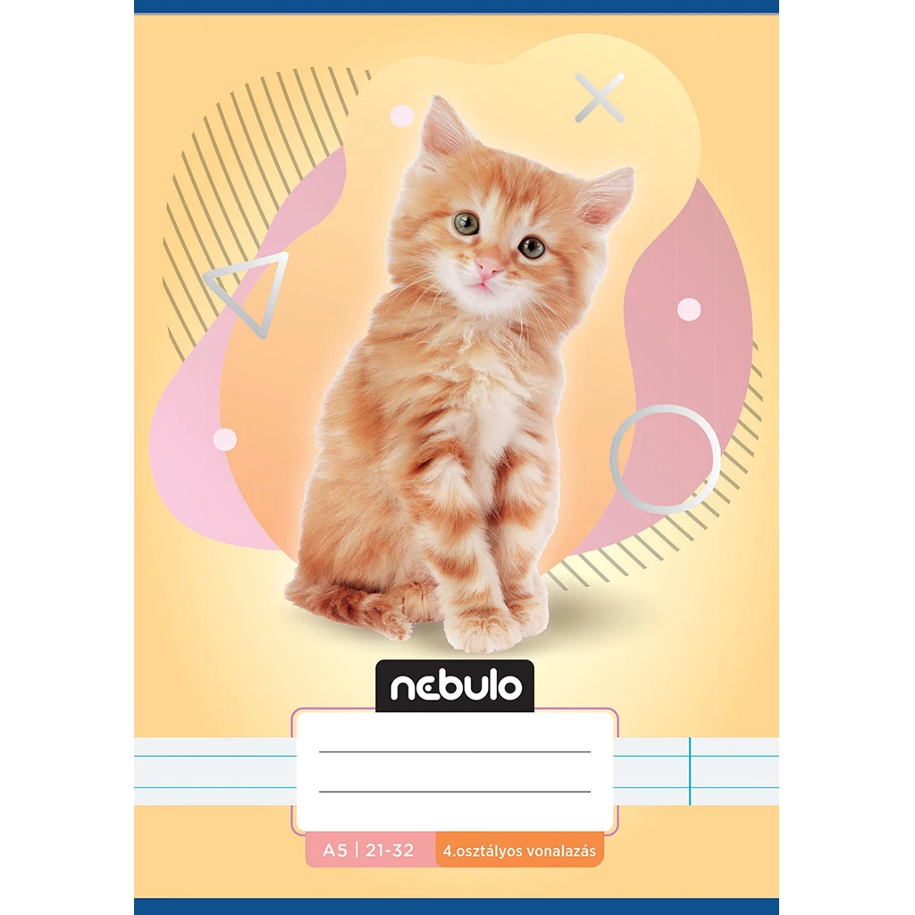 Nebulo: Cica mintás 4.osztályos vonalas füzet A/5 21-32