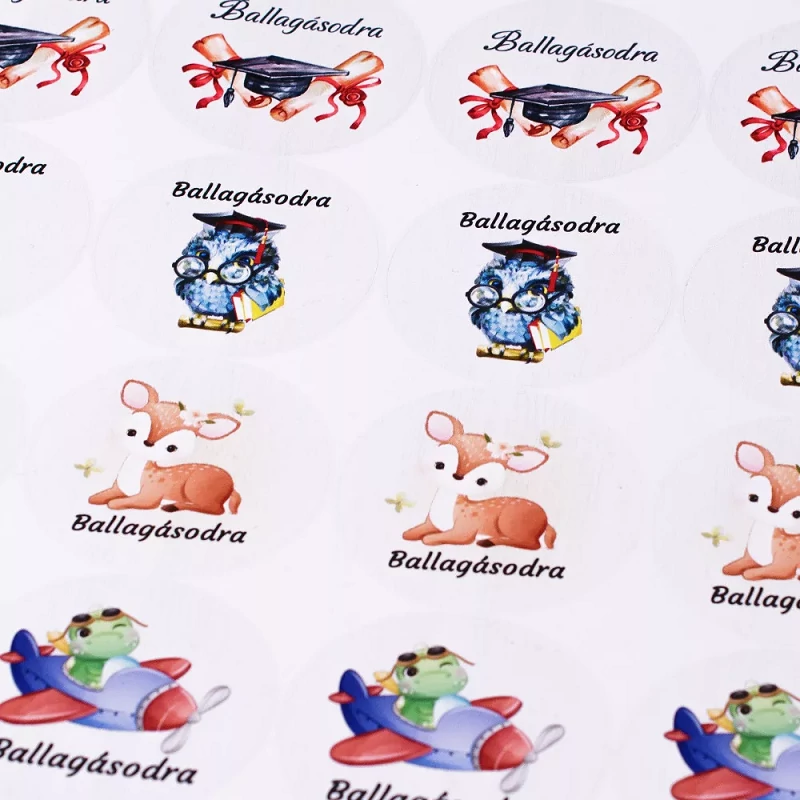 Ballagási matrica 24db-os kiszerelésben DM05-02