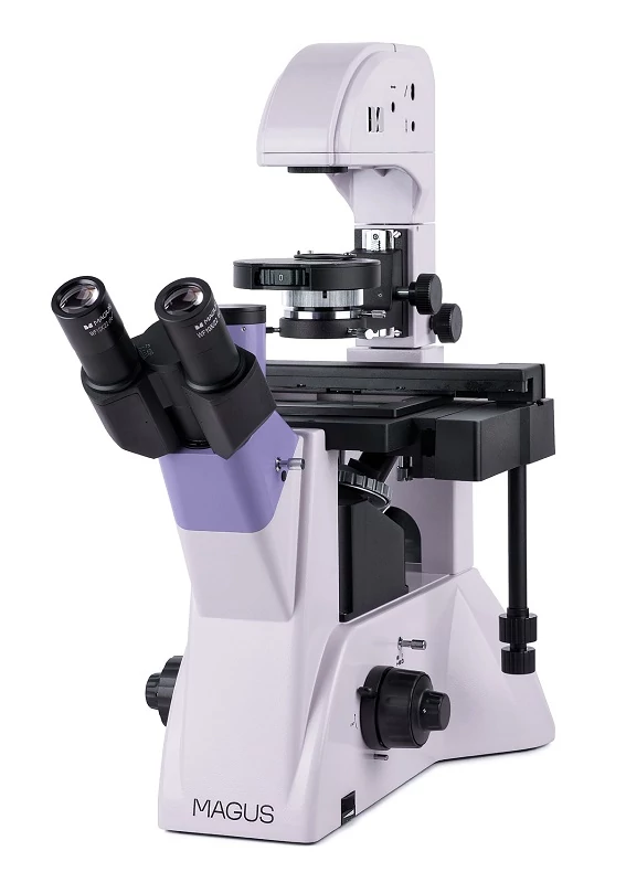 MAGUS Bio V350 biológiai fordított mikroszkóp - 82907